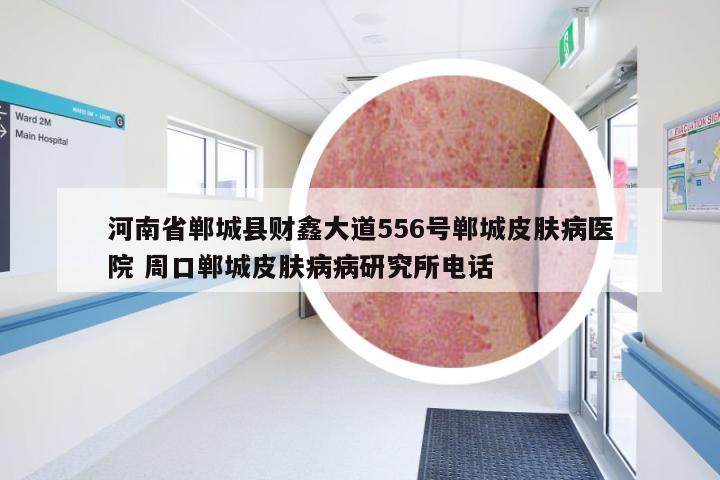 河南省郸城县财鑫大道556号郸城皮肤病医院 周口郸城皮肤病病研究所电话